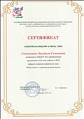 Сертификат  о представлении опыта работы в ДОУ в форме открытого занятия, 2016