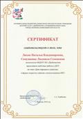 Сертификат о представлении опыта работы в ДОУ  по теме "День народного единства", 2019