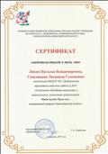 Сертификат за представление  опыта работы "Технология "Музейная педагогика ", 2017