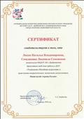 Сертификат ДОУ Мини-музей "Армия России", 2018